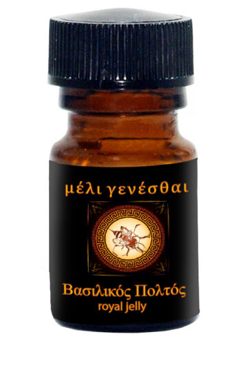 ΒΑΣΙΛΙΚΟΣ ΠΟΛΤΟΣ